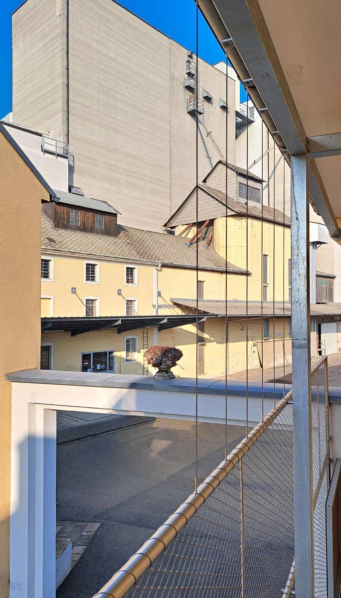 Sanierung Mühle 2024